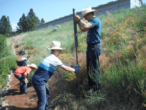 DFS and Eagle Scout Trail Marker Project